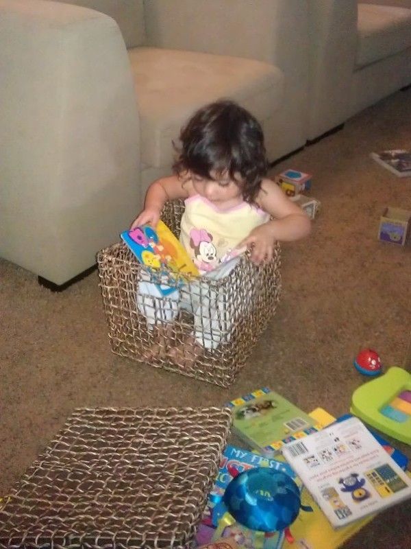 Alba sitting in a small basket reading a book