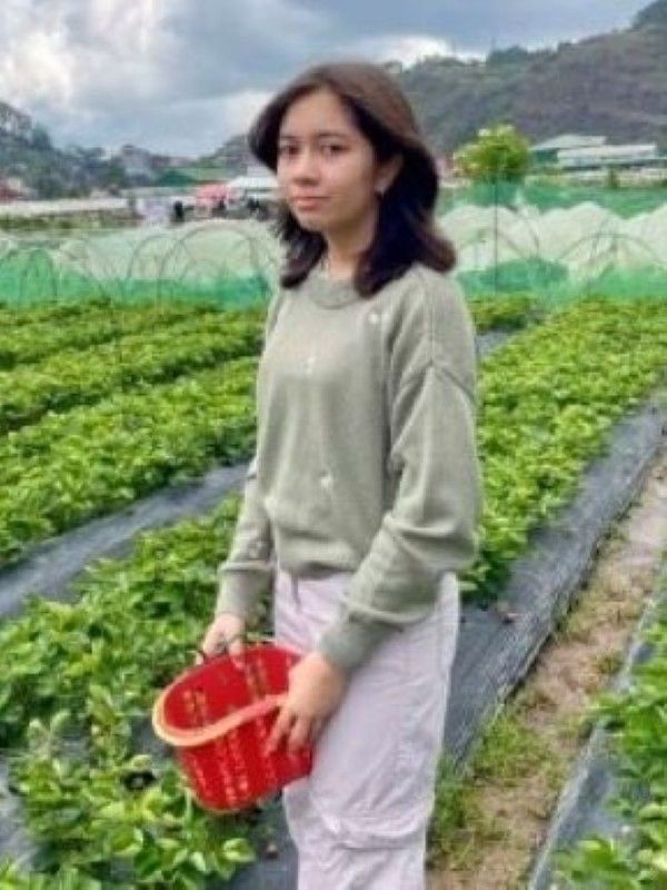 Baguio Strawberry Picking